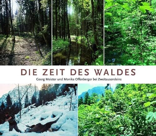 Die Zeit des Waldes: Bilderreise durch Geschichte und Zukunft unserer Wälder