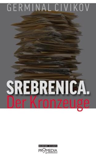 Srebrenica. Der Kronzeuge (Edition Brennpunkt Osteuropa)