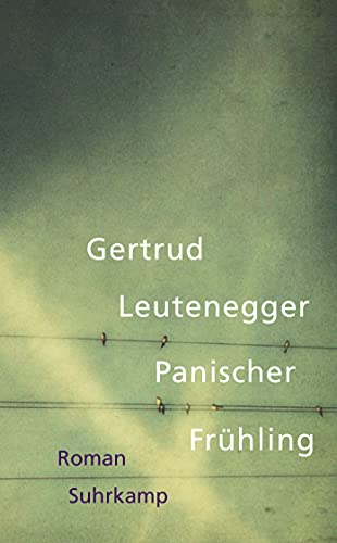 Panischer Frühling: Roman (suhrkamp taschenbuch) von Suhrkamp Verlag AG