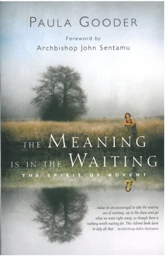The Meaning Is In The Waiting: The Spirit of Advent von Canterbury Press Norwich