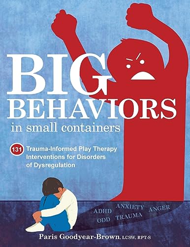 Big Behaviors in Small Containers: 131 Trauma-Informed Play Therapy Interventions for Disorders of Dysregulation von PESI Publishing, Inc.