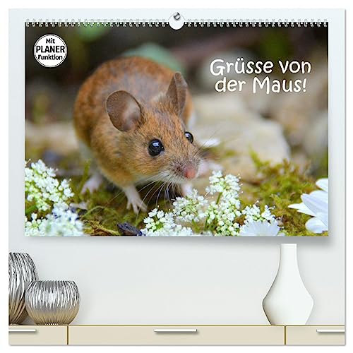 Grüsse von der Maus! (hochwertiger Premium Wandkalender 2025 DIN A2 quer), Kunstdruck in Hochglanz von CALVENDO