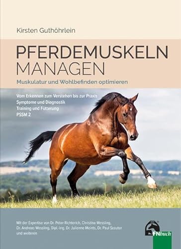 Pferdemuskeln managen: Muskeltraining – Trainingsplanung – Fütterung von FN Verlag
