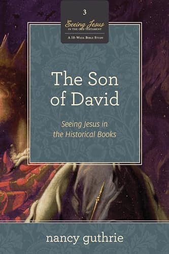 The Son of David: Seeing Jesus in the Historical Books (a 10-Week Study): Seeing Jesus in the Historical Books (a 10-Week Bible Study) Volume 3 (Seeing Jesus in the Old Testament, Band 3) von Crossway Books