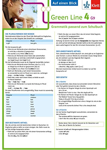 Klett Green Line 4 G9 Klasse 8 - Auf einen Blick: Grammatik passend zum Schulbuch: Grammatik passend zum Schulbuch - Klappkarte (6 Seiten)