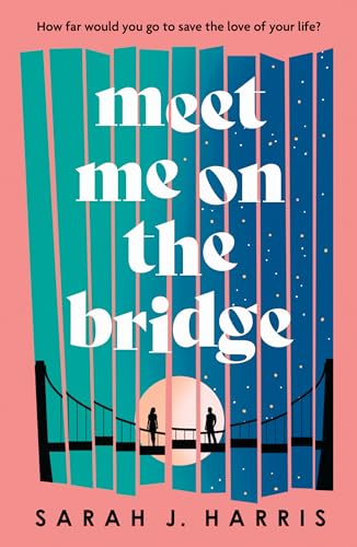 Meet Me On The Bridge von Lake Union Publishing