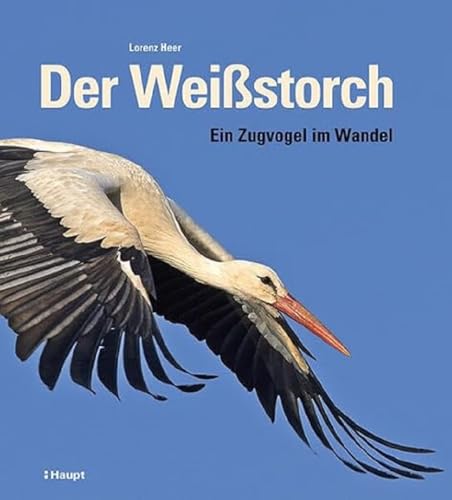 Der Weißstorch: Ein Zugvogel im Wandel von Haupt Verlag AG