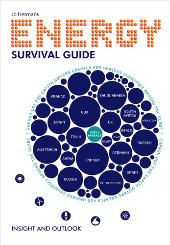 Energy Survival Guide: Insight and Outlook (Leiden Publications)