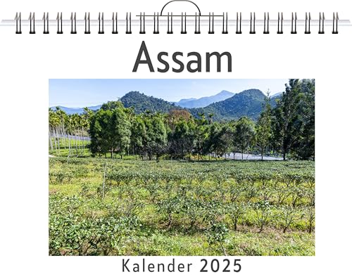 Assam - (Wandkalender 2025, Kalender DIN A4 quer, Monatskalender im Querformat mit Kalendarium, das perfekte Geschenk) von FlipFlop