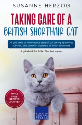 Taking care of a British Shorthair Cat: All you need to know about general cat caring, grooming, nutrition, and common disorders of British Shorthairs von Expertengruppe Verlag