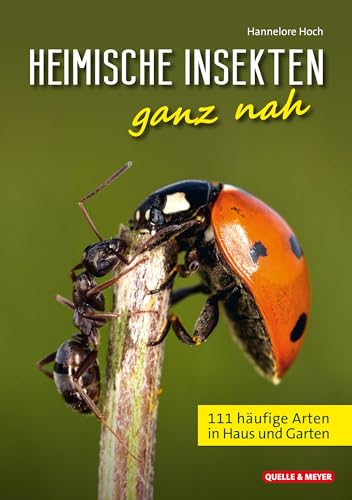 Heimische Insekten ganz nah: 111 häufige Arten in Haus und Garten von Quelle + Meyer