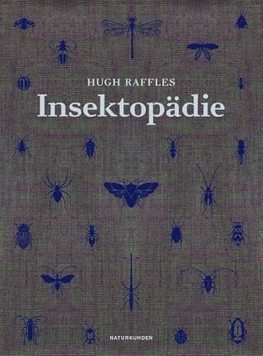 Insektopädie (Naturkunden) von Matthes & Seitz Verlag