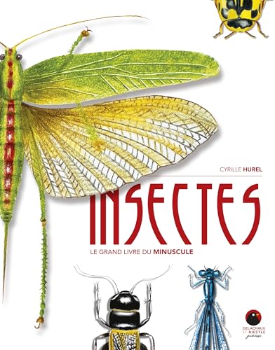 Insectes: Le grand livre du minuscule von DELACHAUX