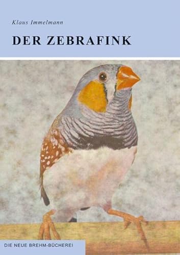 Der Zebrafink: Taeniopygia guttata