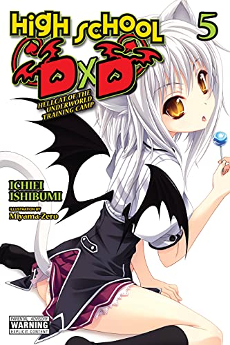 High School DxD, Vol. 5 (light novel): Hellcat of the Underworld Training Camp (HIGH SCHOOL DXD LIGHT NOVEL SC) von Yen Press