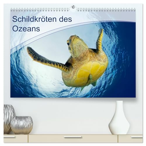 Schildkröten des Ozeans (hochwertiger Premium Wandkalender 2025 DIN A2 quer), Kunstdruck in Hochglanz: Alle lieben Schildkröten! Und Meeresschildkröten ganz besonders! von Calvendo