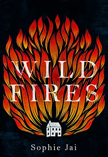 Wild Fires: The most powerful and unmissable literary debut of 2022 von The Borough Press