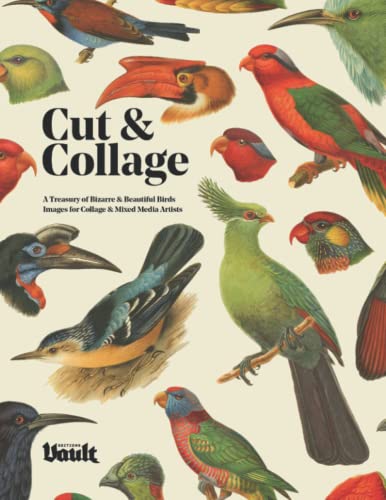 Cut & Collage: A Treasury of Bizarre and Beautiful Bird Images for Collage and Mixed Media Artists von Vault Editions LTD