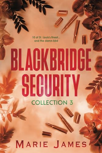 Blackbridge Security Collection 3 (Blackbridge Security Box Set, Band 3) von Independently published