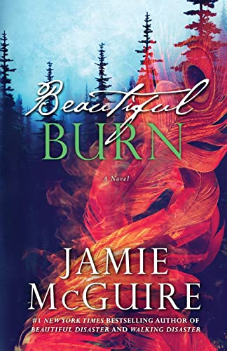 Beautiful Burn: A Novel (The Maddox Brothers, Band 4) von CREATESPACE