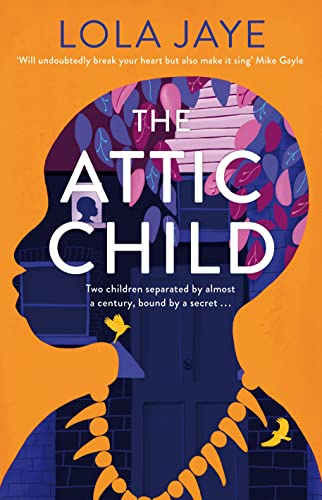The Attic Child: A powerful and heartfelt historical novel, shortlisted for the Diverse Book Awards von Macmillan