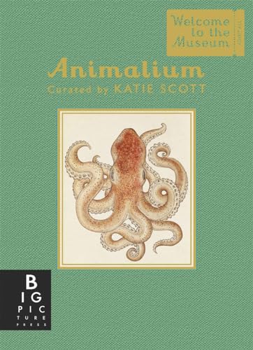 Animalium (Mini Gift Edition) von BONNIER