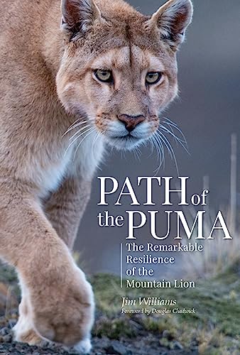 Path of the Puma: The Remarkable Resilience of the Mountain Lion von Patagonia