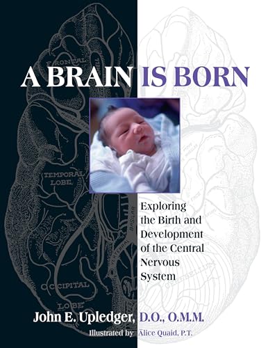 A Brain Is Born: Exploring the Birth and Development of the Central Nervous System von North Atlantic Books