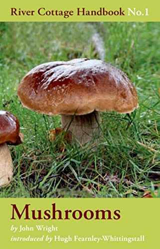 The River Cottage Mushroom Handbook (River Cottage Handbook, Band 1) von Bloomsbury Publishing
