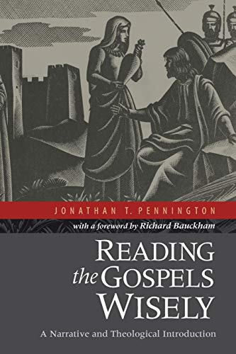 Reading the Gospels Wisely: A Narrative And Theological Introduction von Baker Academic