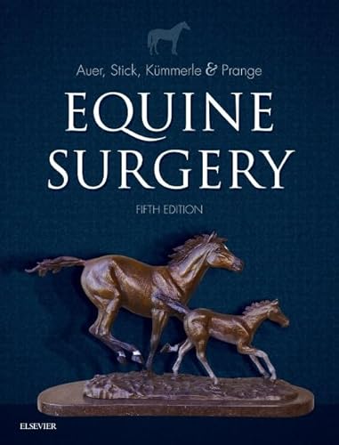 Equine Surgery von Saunders