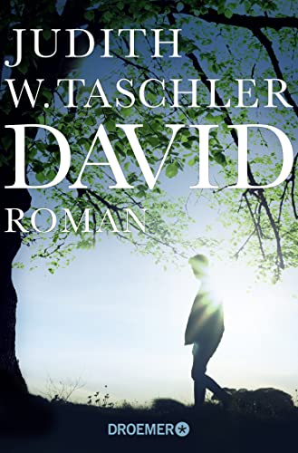David: Roman von Droemer Taschenbuch