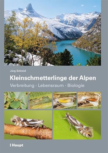 Kleinschmetterlinge der Alpen: Verbreitung Lebensraum Biologie von Haupt Verlag AG