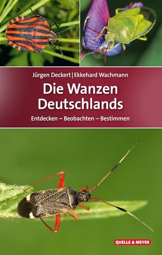 Die Wanzen Deutschlands: Entdecken – Beobachten – Bestimmen (Quelle & Meyer Bestimmungsbücher)