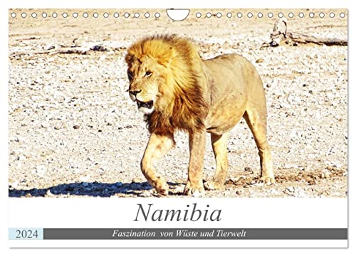 Namibia, Faszination Wüste und Tierwelt (Wandkalender 2024 DIN A4 quer), CALVENDO Monatskalender