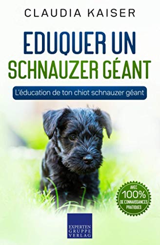 Eduquer un schnauzer géant: L'éducation de ton chiot schnauzer géant