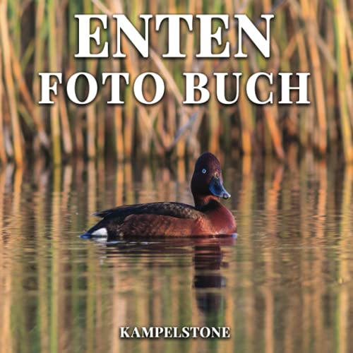 Enten Foto Buch: 100 süße Bilder von Entenküken und Enten - Perfektes Geschenk- oder Kaffeetischbuch von Independently published