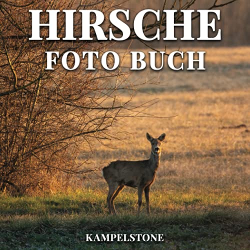 Hirsche Foto Buch: 100 schöne Bilder in der Natur - Perfektes Einweihungsgeschenk oder Couchtischdekor