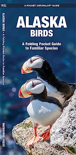 Alaska Birds: A Folding Pocket Guide to Familiar Species (Wildlife and Nature Identification)