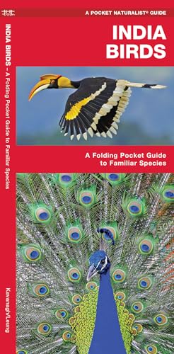 India Birds: A Folding Pocket Guide to Familiar Species (Pocket Naturalist Guide) von Waterford Press