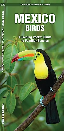 Mexico Birds: A Folding Pocket Guide to Familiar Species: An Introduction to Familiar Species (a Pocket Naturalist Guide)