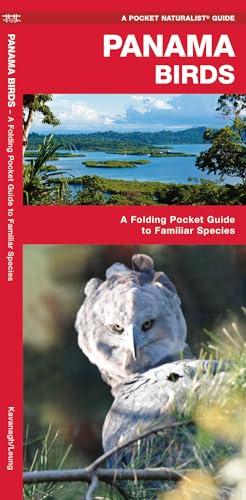 Panama Birds: A Folding Pocket Guide to Familiar Species (Pocket Naturalist Guide)