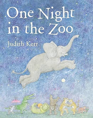 One Night in the Zoo: Bilderbuch