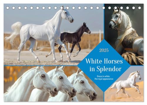 White Horses in Splendor (Tischkalender 2025 DIN A5 quer), CALVENDO Monatskalender von CALVENDO