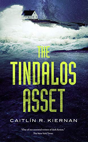 Tindalos Asset (Tinfoil Dossier, 3, Band 3) von Tordotcom