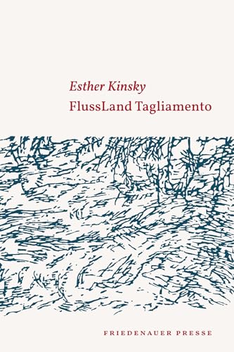 FlussLand Tagliamento (Friedenauer Presse Wolffs Broschur) von Matthes & Seitz Verlag