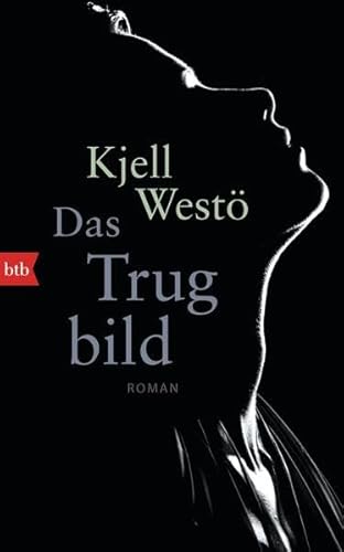Das Trugbild: Roman: Roman. Ausgezeichnet mit dem Literaturpreis des Nordischen Rates 2014