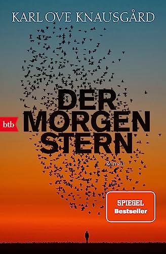 Der Morgenstern: Roman von btb Verlag