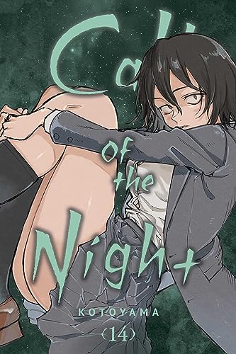 Call of the Night, Vol. 14 (CALL OF THE NIGHT GN, Band 14) von Viz LLC