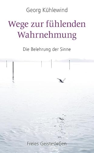 Wege zur fühlenden Wahrnehmung: Die Belehrung der Sinne von Freies Geistesleben GmbH